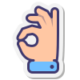 icons8-ok-hand-100